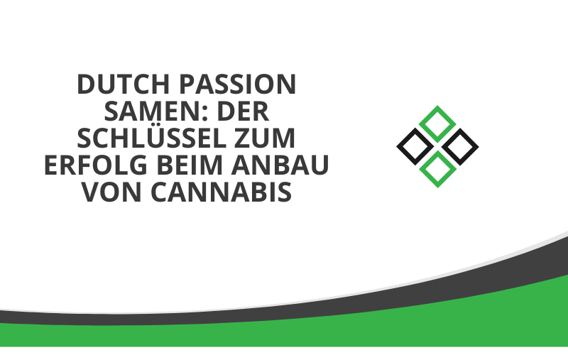 Read more about the article Dutch Passion Samen: Der Schlüssel zum Erfolg beim Anbau von Cannabis