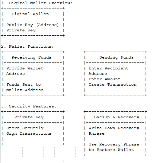 Digital Wallet Usage example part 1